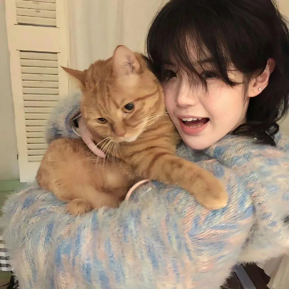 猫城